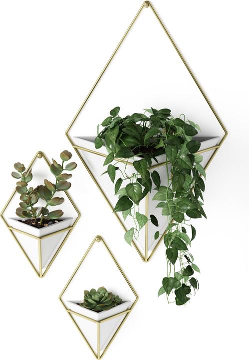 Actual product image Umbra Trig (9.50 cm)