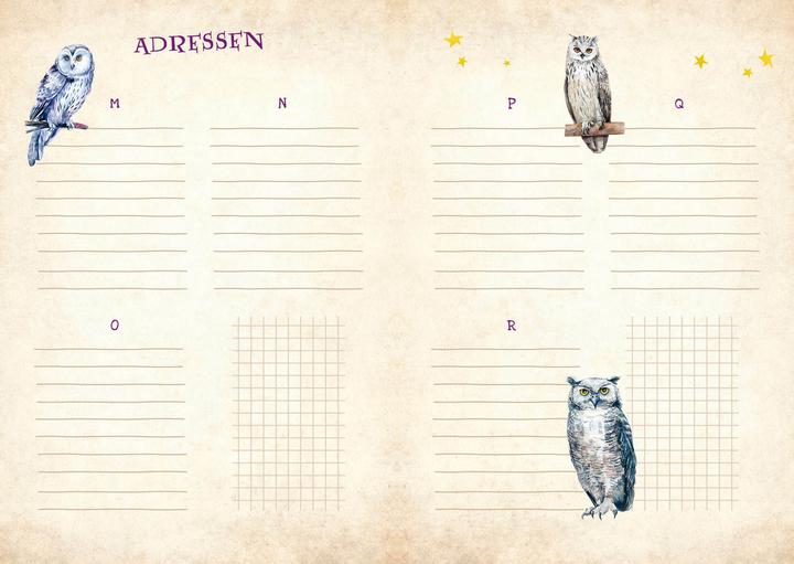 Image du produit AGENDA HARRY POTTER 2024/2025 (15,5 x 21 cm, Couverture rigide, Allemand)