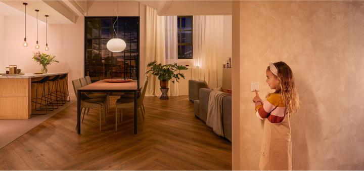 Actual product image Philips Hue Wandschalter Modul