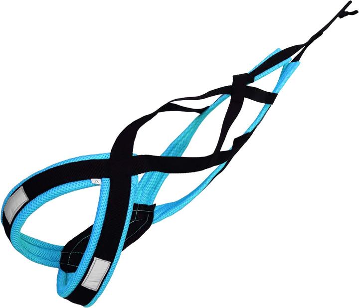 Lasaline Harness X Back (XS, Dog, Pushbike, Jogging, Dog sport)