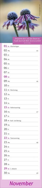Image du produit times&moreTagevollerGlückLangplaner2026 (11 x 49 cm, Allemand)