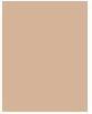 Actual product image Revlon Colorstay Combination Oily Skin (240 Medium Beige)