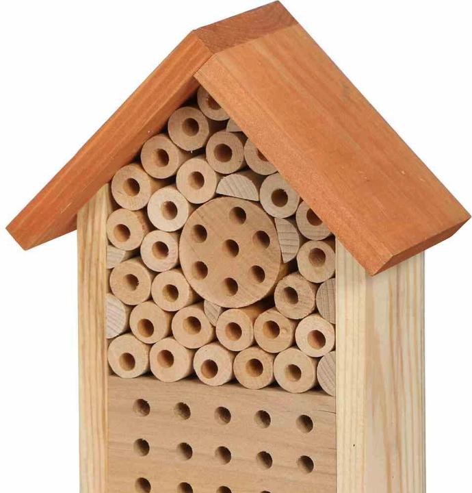 Siena Garden Bee block (Wild bees)