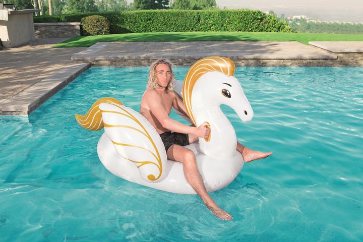 Actual product image Bestway Luxury Pegasus 231x150cm