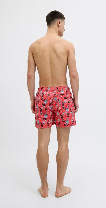 Actual product image Jack & Jones Regular Fit Badeshorts Badeshorts (S)