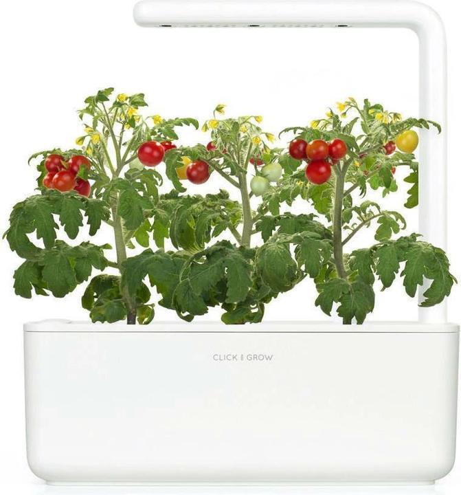 Image du produit Click and Grow Mini-tomates (Graines de légumes)