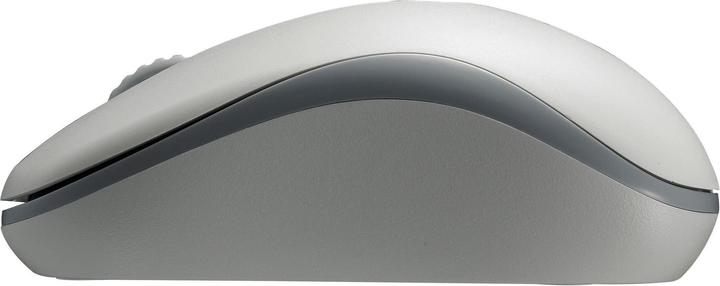 Actual product image Rapoo M10+ (Wireless)