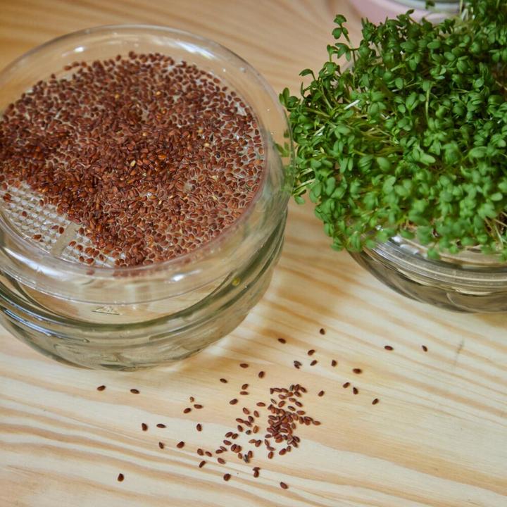 Actual product image Siena Garden Sprout glass