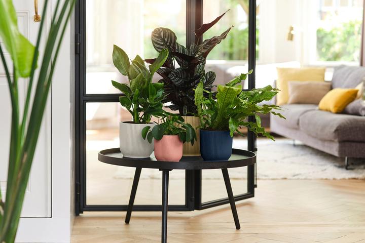 Produktbild Elho Vibes Fold (18.35 cm)