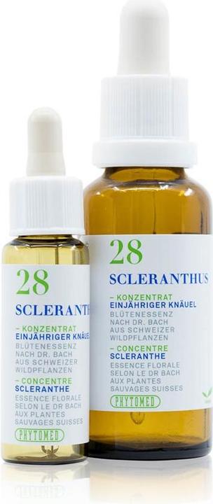 Phytomed Bachblüten No28 Einjähriger Knäuel (1 Stück, Tropfen, 26 g)