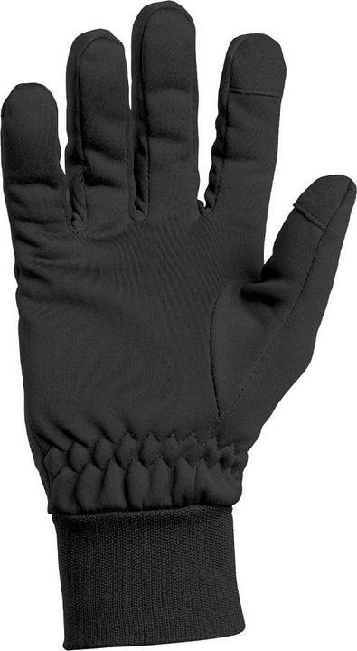 Actual product image A10 Equipment Winterhandschuhe THERMO PERFORMER -10°C bis -20°C, black (L)