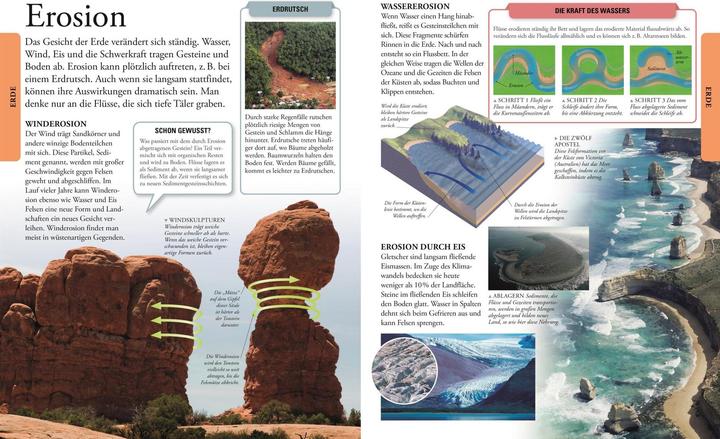 Actual product image Wissen für clevere Kids (German, Birgit Reit, Karin Hofmann, Martin Kliche, Barbara Kiesewetter, DK Verlag - Kids, 2024)