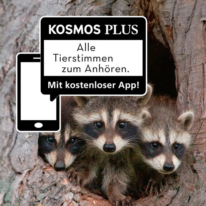 Produktbild Kosmos Tier- und Pflanzenführer. Kindernaturführer