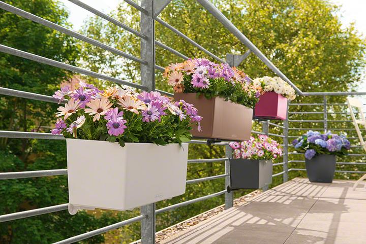 Produktbild Lechuza Balconera Color (19 cm)