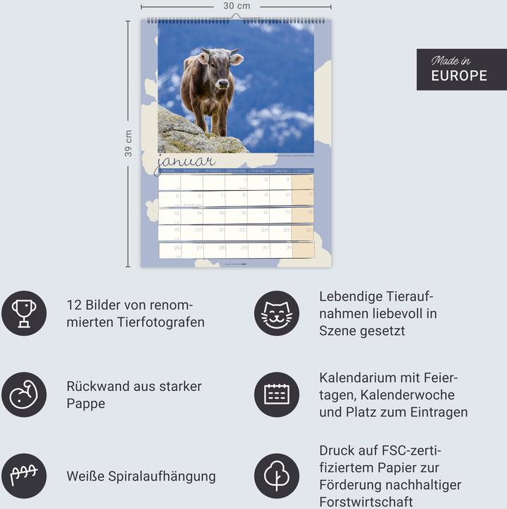 Actual product image Kuh Kalender 2026 (30 x 39 cm, German)