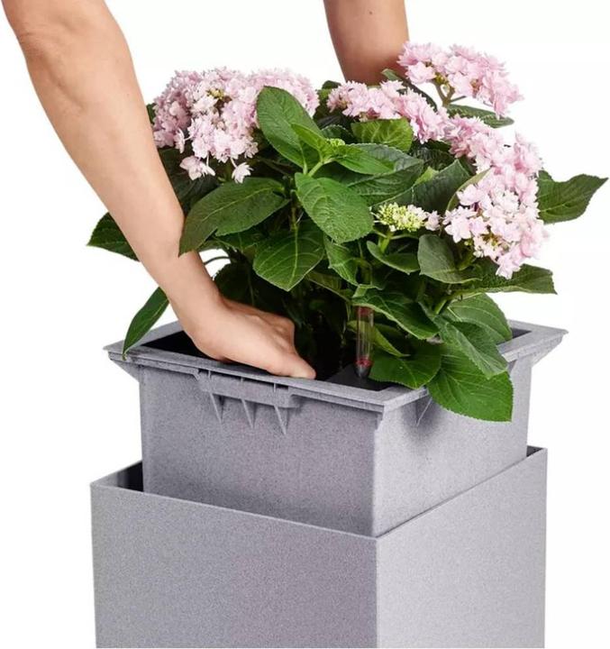 Produktbild Lechuza Canto Color Würfel (30 cm)