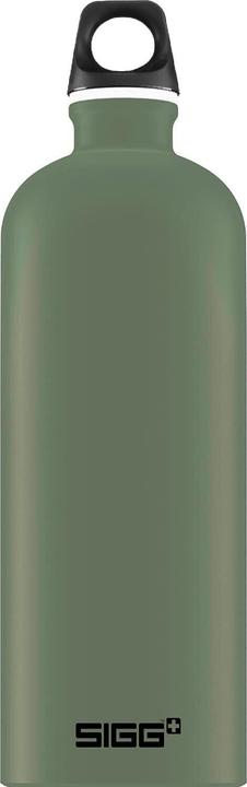 Chlorophyll