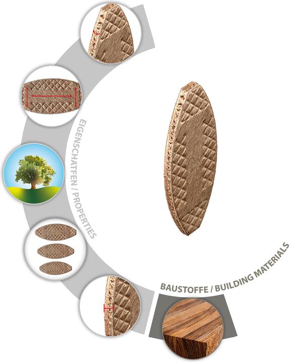 Immagine prodotto Tox Spine piatte in legno Biscuit wood XL P10 (250 pezzi) (250 pz.)