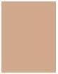 Actual product image Wet n Wild Photo Focus (Soft Beige)