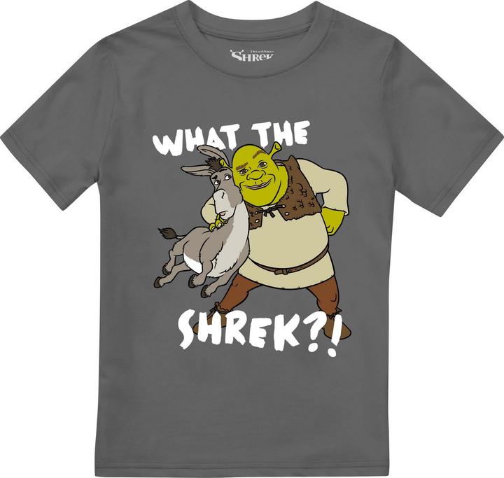 Shrek Best Buds TShirt Jungen
