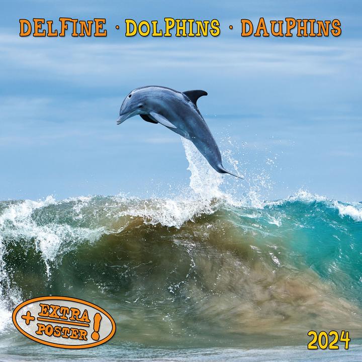 Image du produit Dolphins/Dauphins 2023 (Couverture rigide, Espagnol, Français, Tchèque, Italien, Néerlandais, Polonais, Allemand, Anglais)