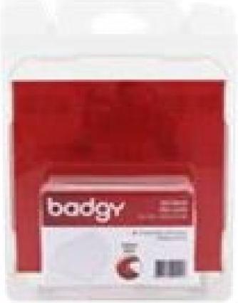 Evolis Scheda Badgy PVC