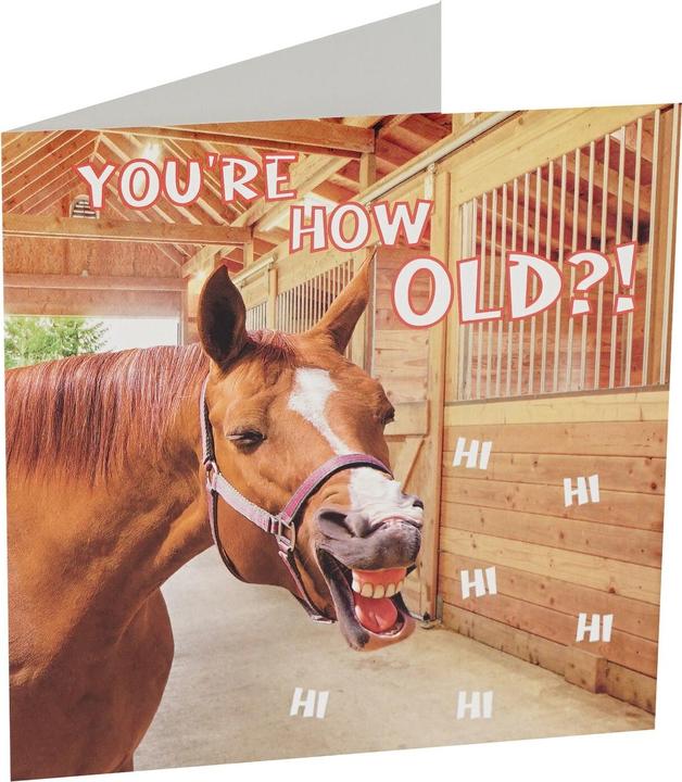 Image du produit Horka Carte de voeux chevaux (1 pcs)