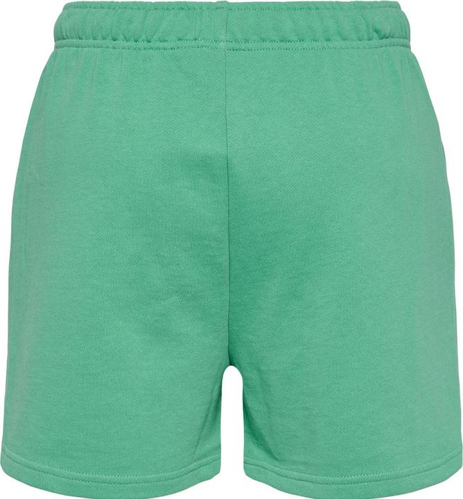 Actual product image hummel hmlLGC SHAI SHORTS (XL)