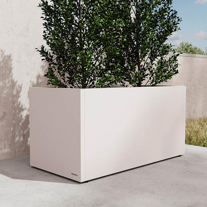 Image du produit Herstera Planter