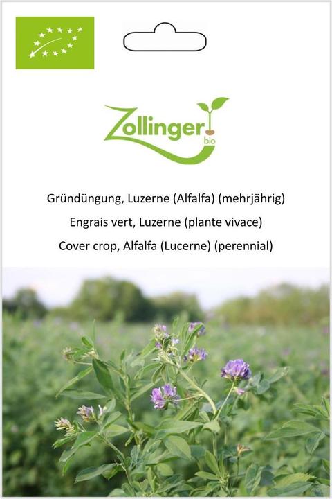 Produktbild Zollinger Bio Gründüngung, Luzerne (Alfalfa) (mehrjährig) (Pflanzensamen)