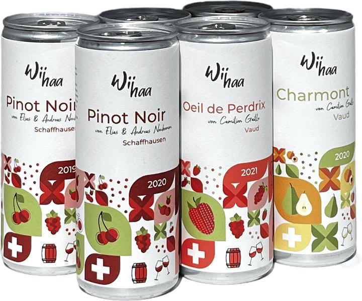 La confezione da degustazione in lattina (6 x 25 cl, 2021)
