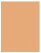 Image du produit MAC Cosmetics Studio Radiance Face and Body Radiant Sheer Foundation (C4)