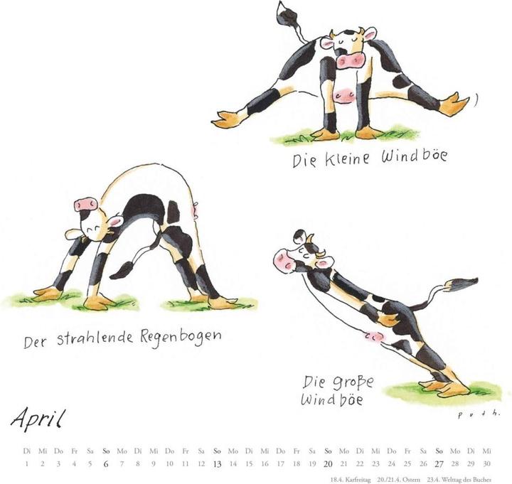 Produktbild Mit den Yoga-Kühen durchs Jahr 2025 – Wandkalender – Quadratformat 23 x 23 cm (24 x 24 cm, Harter Einband, Deutsch)