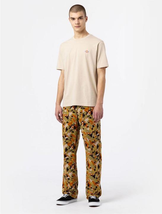 Actual product image Dickies Mapleton T-Shirt (XL)