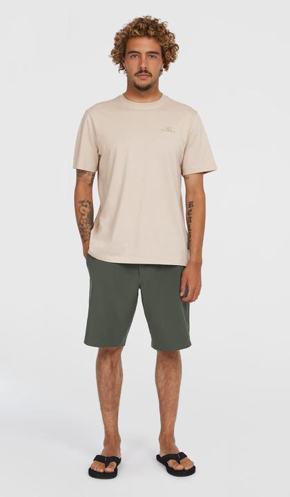Produktbild O'Neill Hybrid Chino 19 Shorts (30)