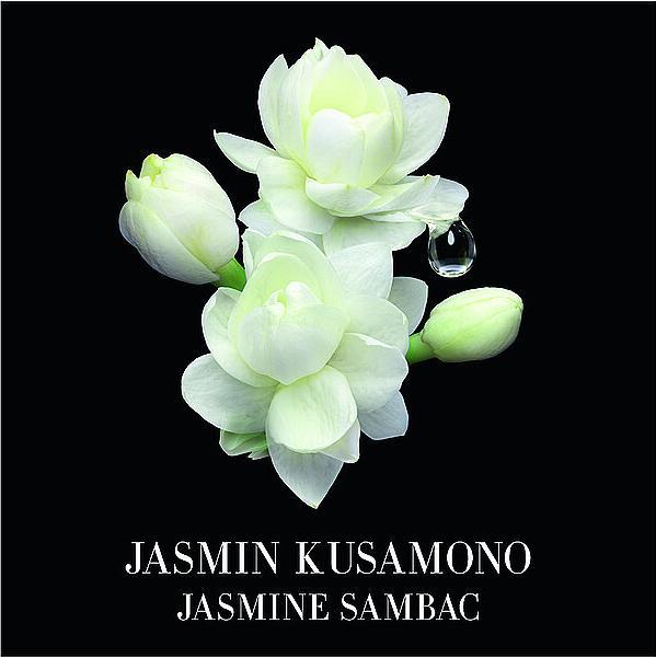 Actual product image Giorgio Armani Jasmin Kusamono (Eau de toilette, 100 ml)