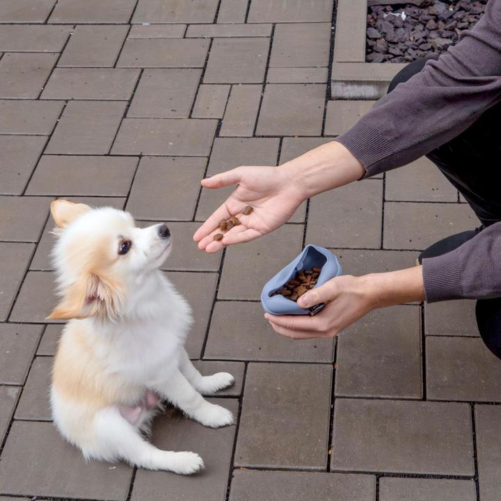 Produktbild Intirilife Hundeleinen Set Blau: Leckerlibeutel & Trinkflasche & Hundeleine (Hund, Allgemein)