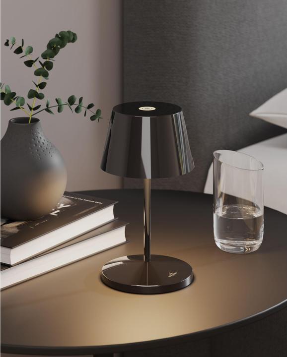 Immagine prodotto Villeroy & Boch Seoul (250 lm)