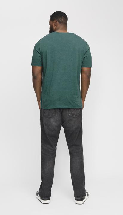 Produktbild Jack & Jones Jjeorganic Mel Tee Ss O-Neck Noos Pls (8XL)