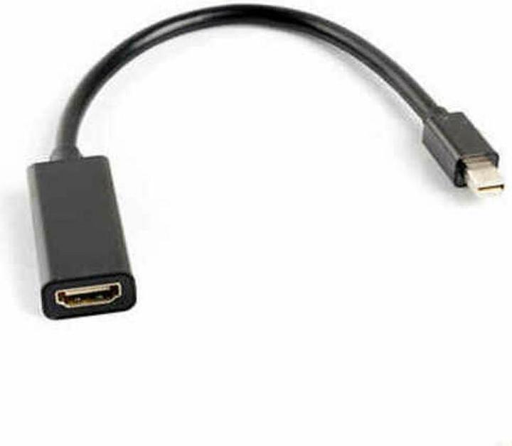 Actual product image Lanberg Mini DP zu (Mini DP, 20 cm)