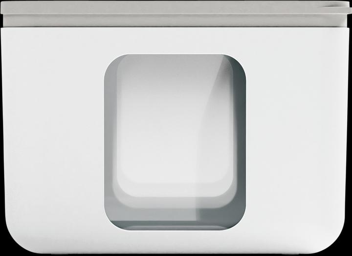 Arctic White