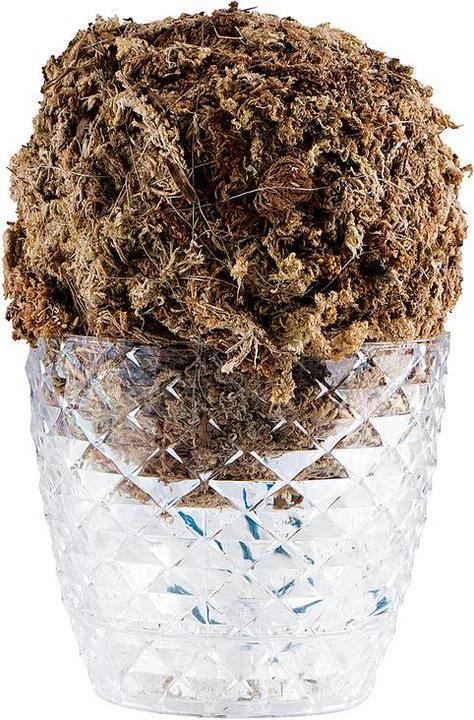 Produktbild Dipz and Grow Saladball (17 cm)