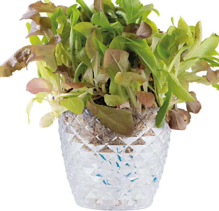 Produktbild Dipz and Grow Saladball (17 cm)
