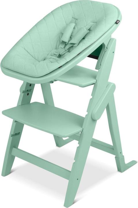 Actual product image Moji Yippy All in One Set (High chair booster seat)