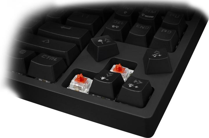 Actual product image White Shark ESL-K1 Red switch (KODACHI) (US, Cable)