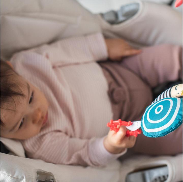 Produktbild Taf Toys Autospielzeug Koala