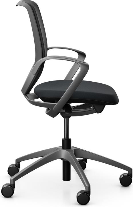 Actual product image Giroflex Netzrücken mit Armlehnen 313