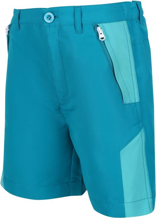 Actual product image Regatta Sorcer Ii Shorts (164)