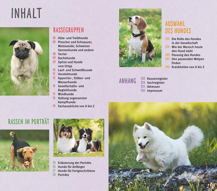 Image du produit Les races de chiens de A à Z (1 pcs, 324 g)