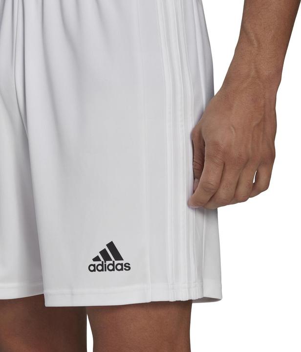 Actual product image adidas Squadra 21 Short (XL)